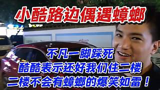 小酷路邊偶遇蟑螂！不凡一腳踩死酷酷表示還好我們住二樓二樓不會有蟑螂的爆笑如雷