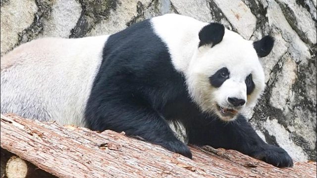 愿质检上线，新棚顶很满意~