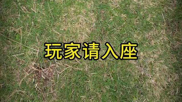 我发布了一个新视频，快来围观吧！