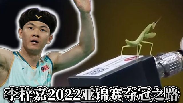 怀念三年前那个力王小李