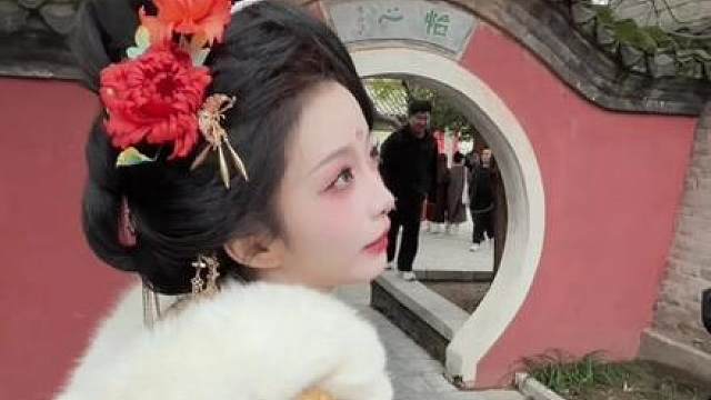 别让苏苏演傻子了