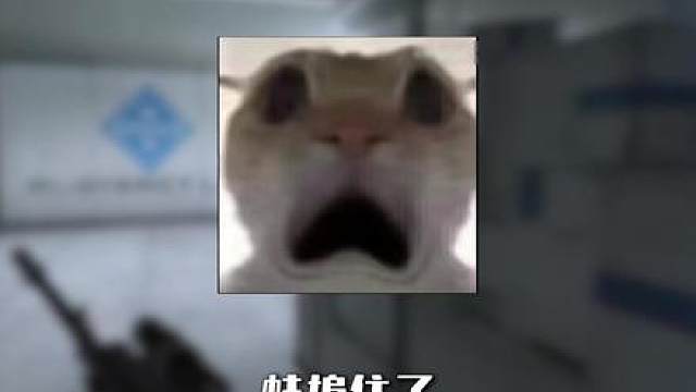 三角洲的物价系统是崩了嘛？