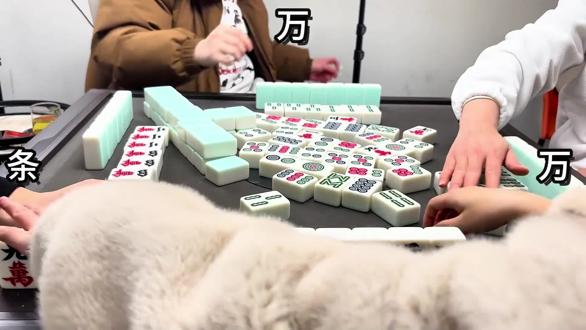 一切都来的刚刚好