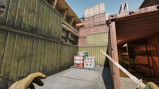 10月21日 寻血猎犬