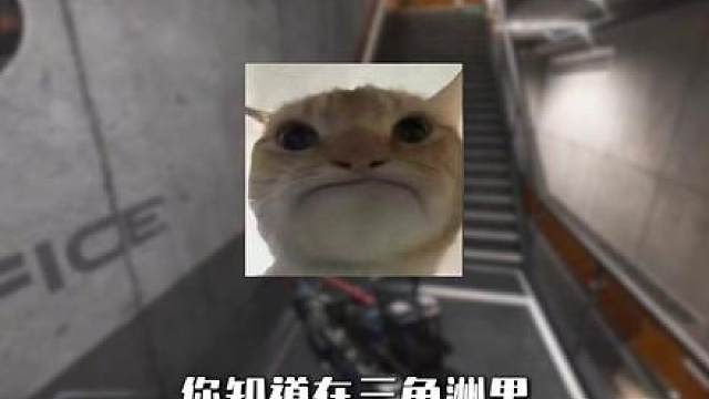 打护子的老板，让三角洲护子炸单，究竟会有多恐怖！？