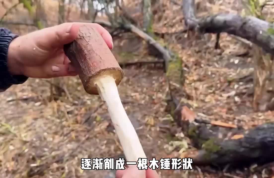 “如果你在睡前刷到这条视频，那就祝你看完美美睡到自然醒~”(3)