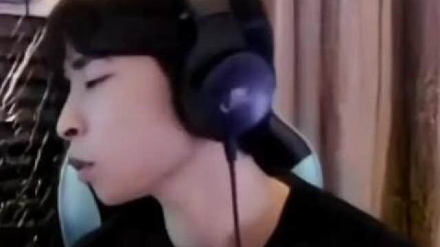 理性讨论边牧和也够智商对比