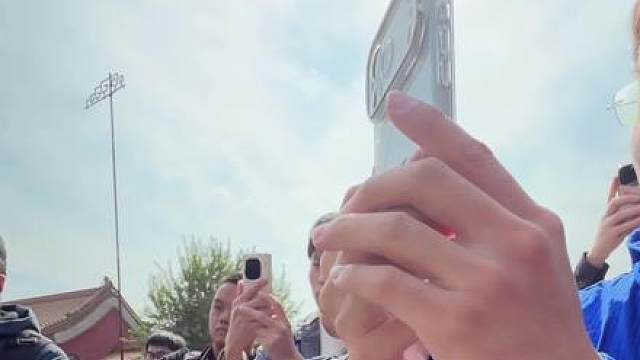 本是清净高洁之花