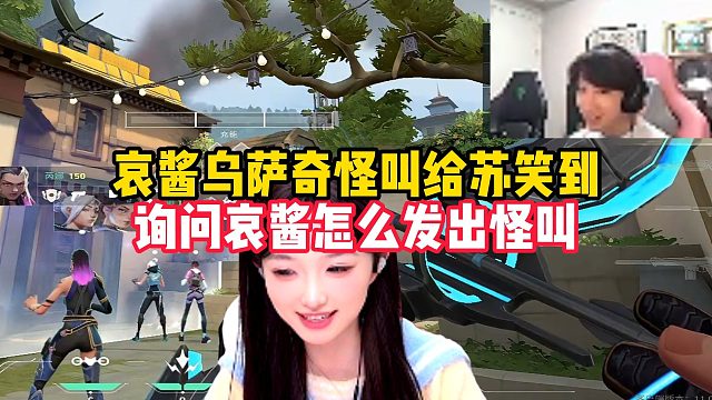 哀酱发出乌萨奇怪叫给苏弟笑到，询问哀酱怎么发出怪叫