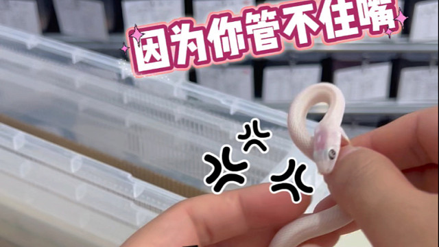 管不住嘴的白娘就得是特价