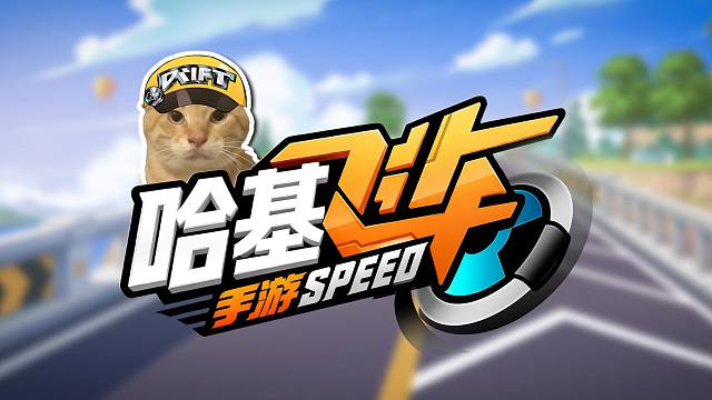 循环歌单】跑图必听哈基米