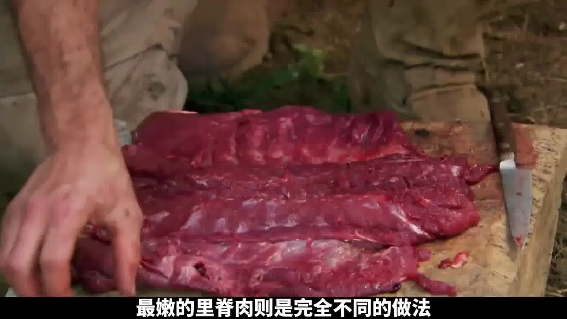 猎人和厨子墨西哥云雾林荒野求生，捕获凶猛野猪，吃上？全猪宴！