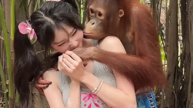 曼谷野生动物园和大猩猩合照啦