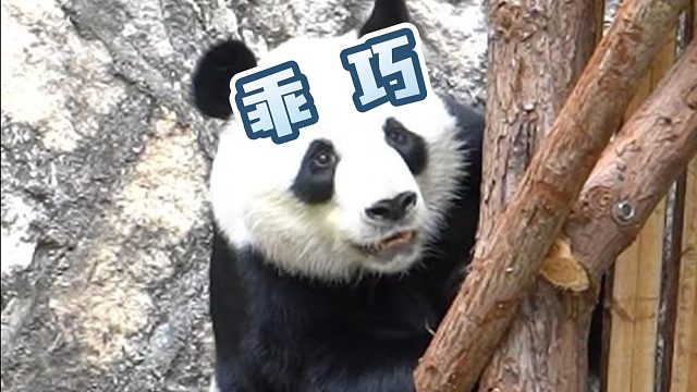 又是活力满满的一天！