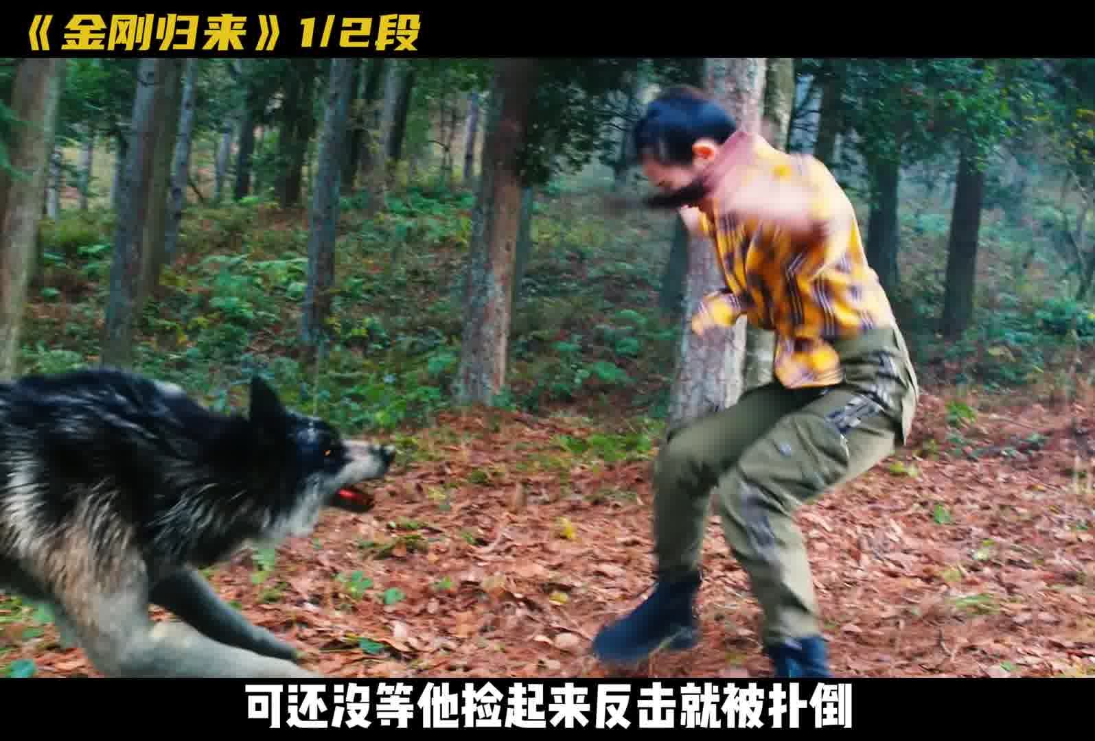 这到底是怎么回事