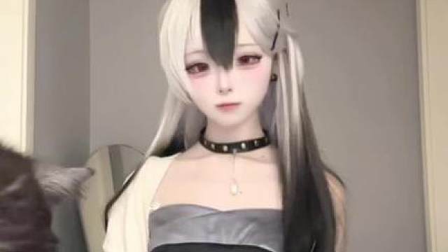 视频里有几只猫猫？