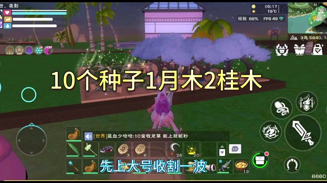 10个种子1月木2桂木。