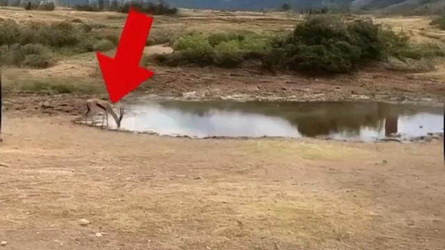 你从中学会了什么！#足球