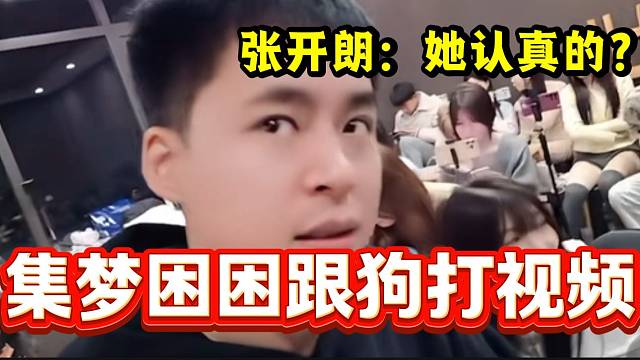 集梦困困的狗会打视频甚至还会上学，张开朗被惊呆了！