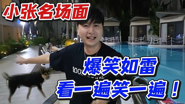 小张名场面！爆笑如雷看一遍笑一遍