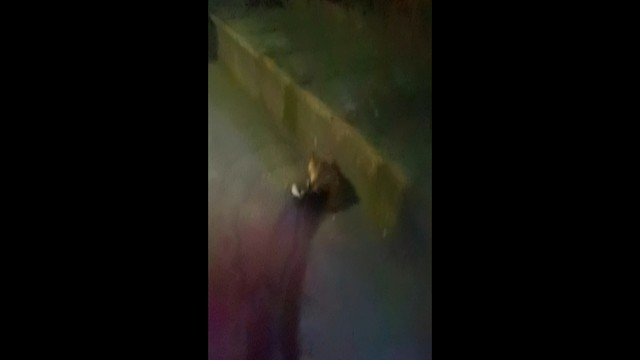 不就是要你几个w吗