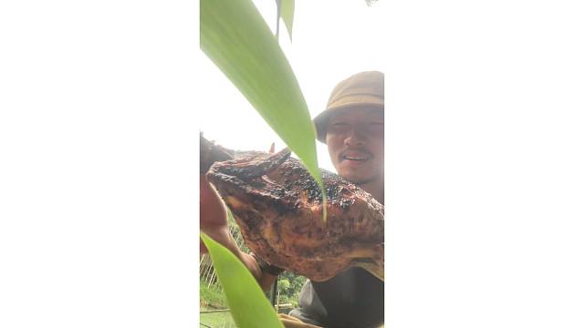 古法烤老母鸡(4)