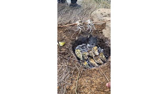 古法烤螃蟹烤生蚝