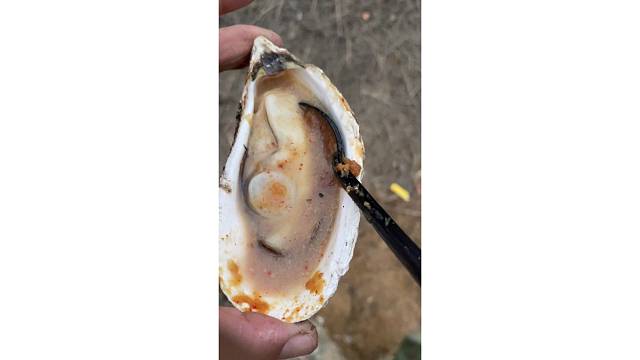 又咸又鲜不得了 补到了