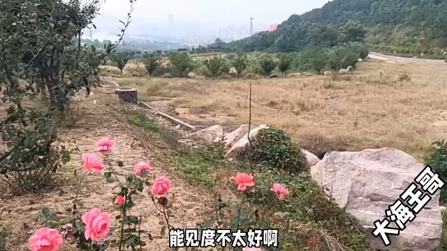 好客山东欢迎您、青岛崂山最热情