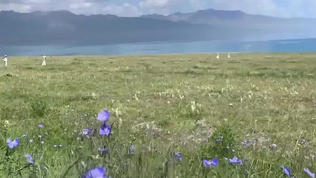 从此,世界在我面前