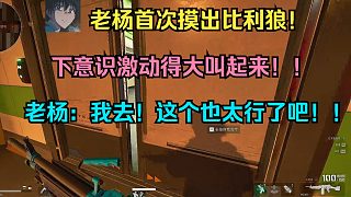 老楊首次摸出比利狼！下意識激動得大叫起來??！老楊：我去！這個也太行了吧??！