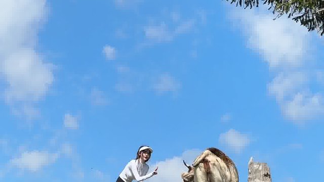 在那拉提走进我心里的童话世界！