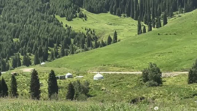 对生活的向往是自由且浪漫