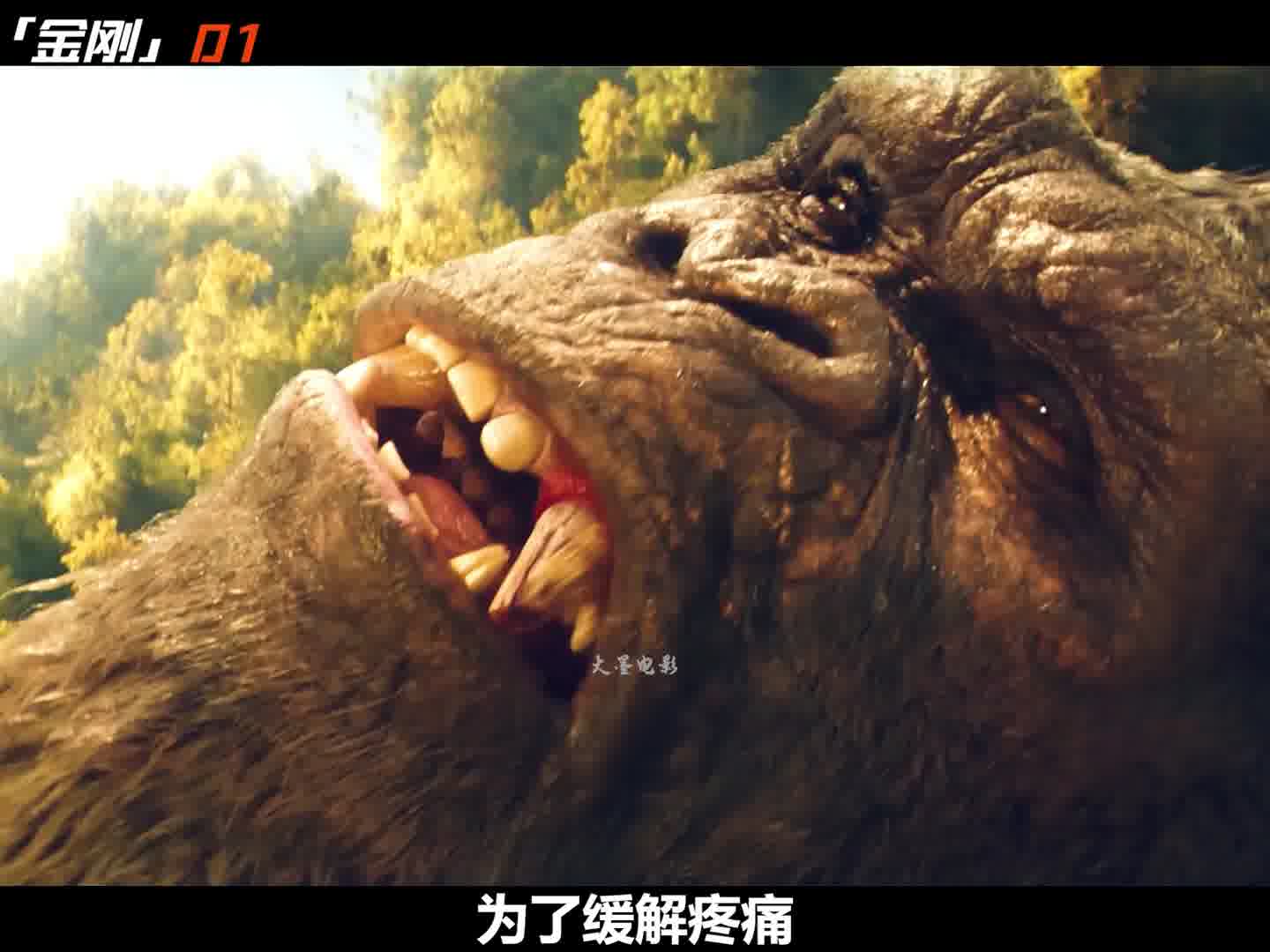 1被困五百年的猴哥总算见到了老乡