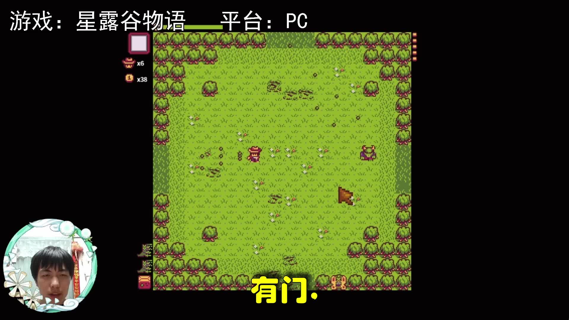 【星露谷物语】草原王大王通关视频！