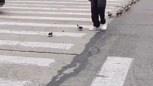 内心仿佛被温暖阳光轻轻抚慰，满是治愈感