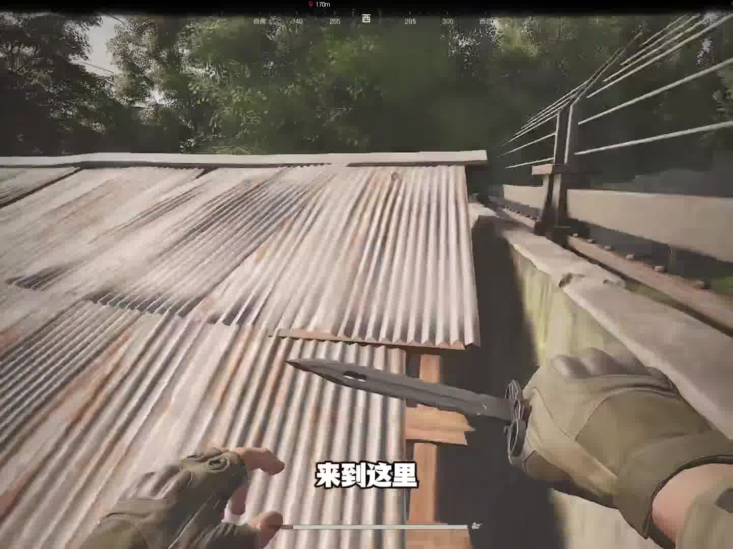 农场的逆天老6点位