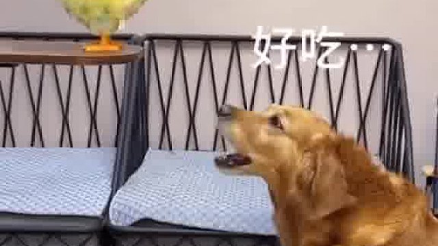 现下的蛋果然好吃