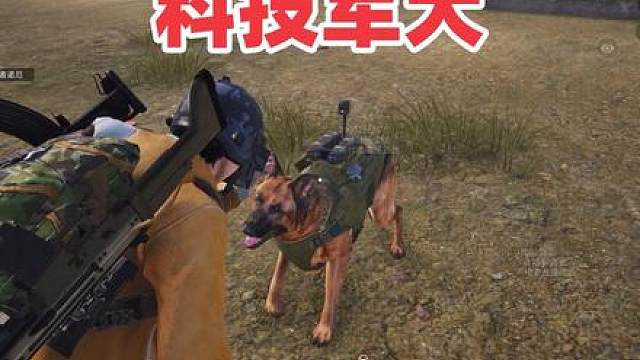 新版本多功能军犬上线，比科技还科技