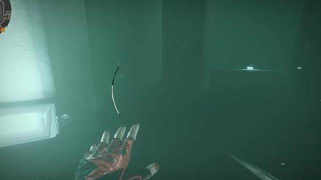 为什么要欺负我一个手无缚鸡之力的鼠鼠