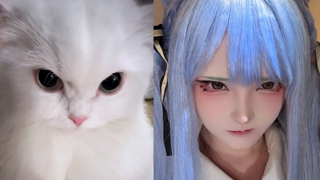 又怎么了 我的大小姐