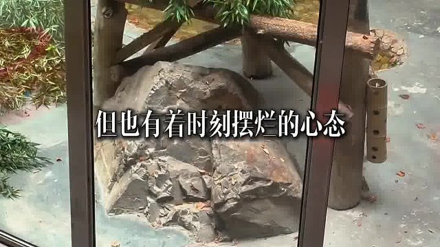 想你的风真的可以吹到这