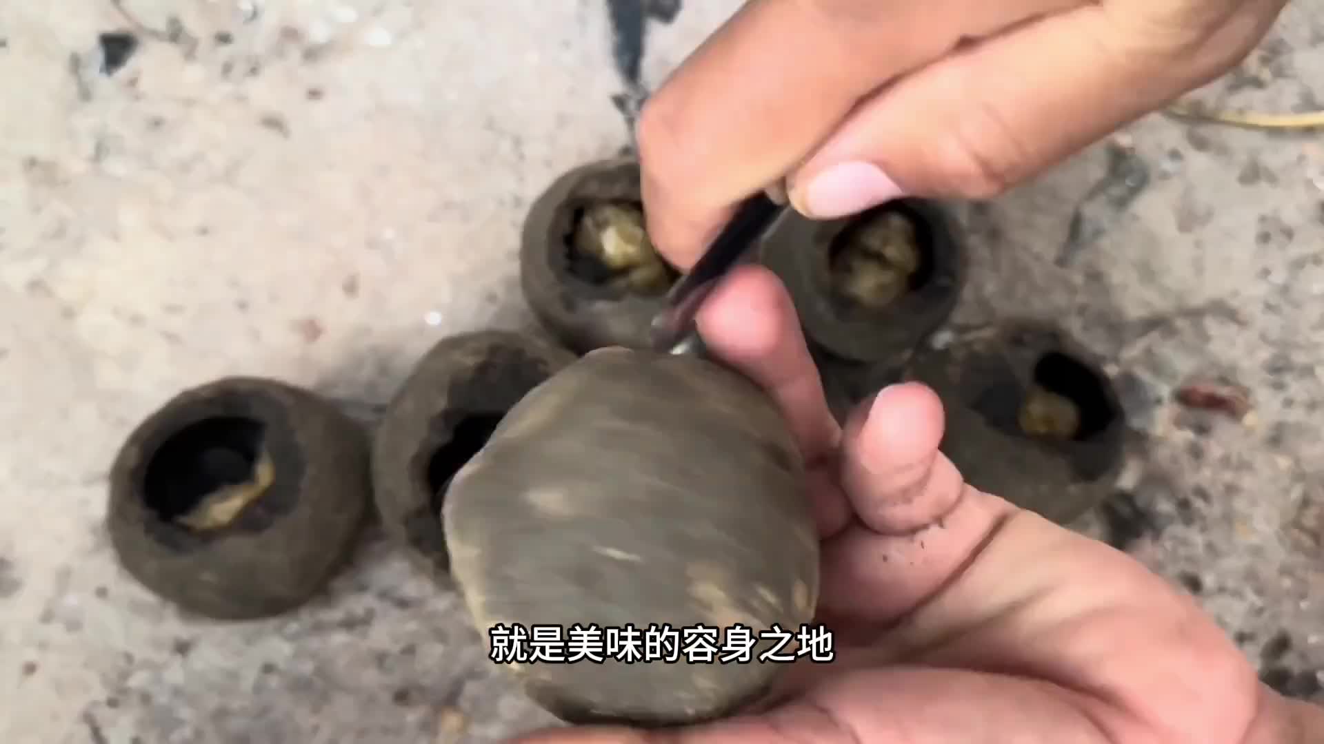 即使很努力的将自己封印起来，最终还是逃不过被做成美食