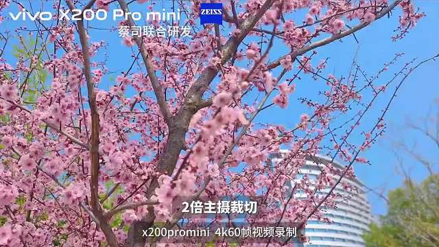 降价后香到跺脚的2款小屏旗舰！6.3英寸塞大电池，三千内闭眼入