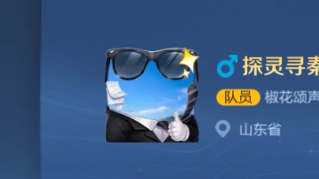 专业团队头像框别忘记领哦