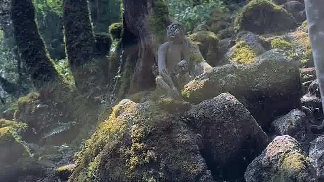 你已进入原始森林