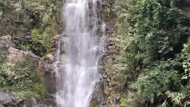 勇敢的人，先享受世界