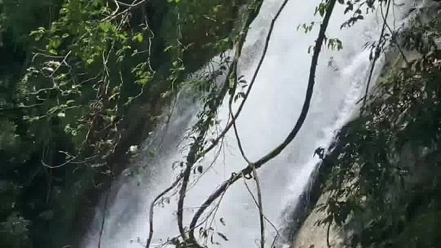 自由才是生活的真谛