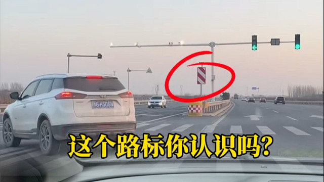 别等被罚才后悔！1分钟认清高频交通标志，上路再也不慌！#开车知识 #驾驶经验