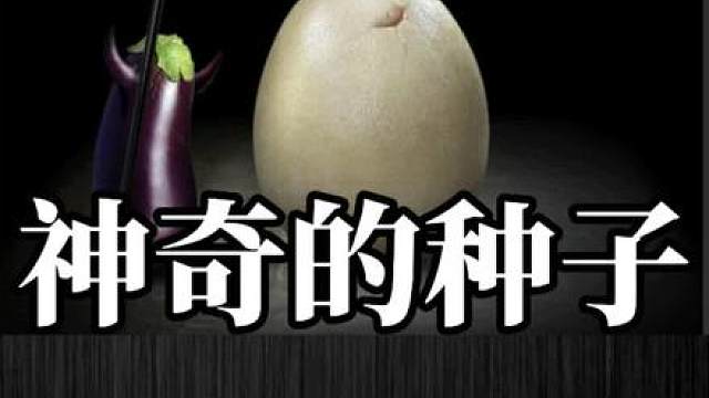 一颗神奇的种子，无论怎么选择最后都会变回原样